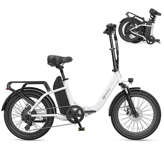 DYU C9 Electric Bicycle Peak 1000W Motor 48V15.6AH Lithium Battery Electric Bike Hydraulic Brake 20*3.0 Inch Fat Tire E-bike