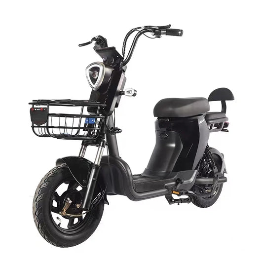 2023 Factory-Recommended E Bike E Bicycle 500W Electric Bike Electric Bicycle with 48V/60V Lead- Acid Battery for Adults