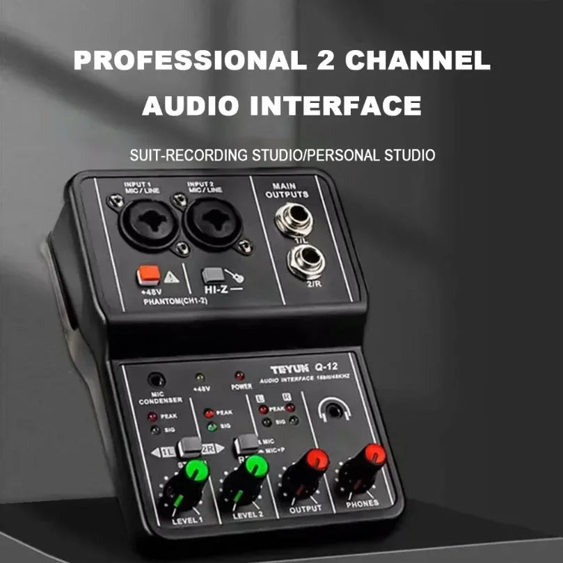 2 Channels Professional Portable Audio Interface Sound Card Console Mini USB MIXER for Guitar Recording Studio Singing TEYUN Q12