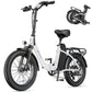 DYU C9 Electric Bicycle Peak 1000W Motor 48V15.6AH Lithium Battery Electric Bike Hydraulic Brake 20*3.0 Inch Fat Tire E-bike
