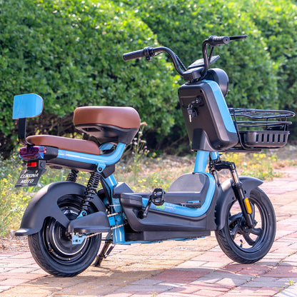 Export Electric Bicycles and Two-wheeled Electric Vehicles for Household and Adult Transportation