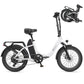DYU C9 Electric Bicycle Peak 1000W Motor 48V15.6AH Lithium Battery Electric Bike Hydraulic Brake 20*3.0 Inch Fat Tire E-bike