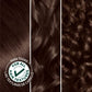 Garnier Nutrisse Nourishing Hair Color Creme, 40 Dark Brown (Dark Chocolate) (Packaging May Vary)